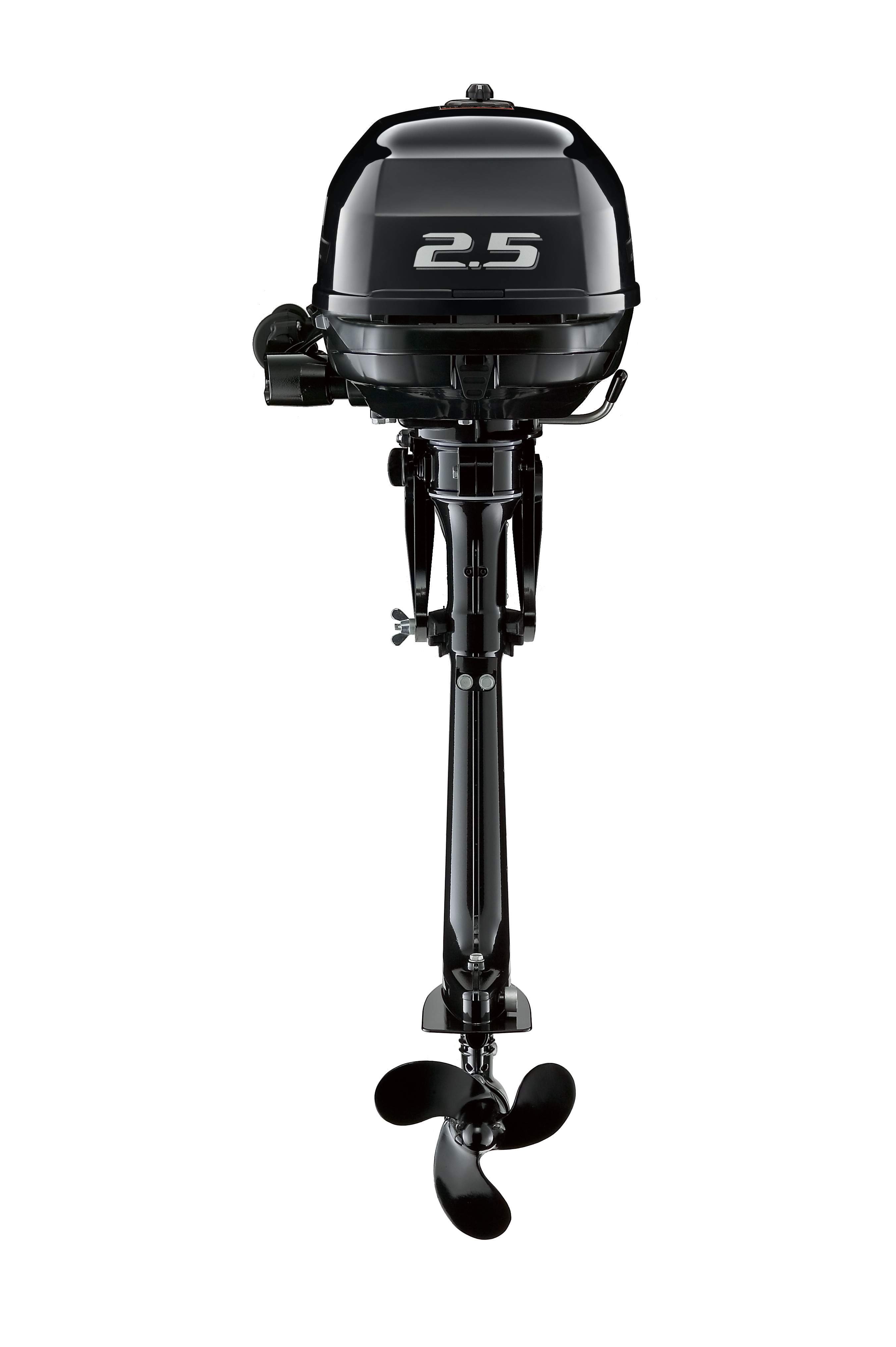 Suzuki DF2.5 outboard
